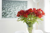 Book Kingston Beach Accommodation Vacations Your Accommodation Your Accommodation