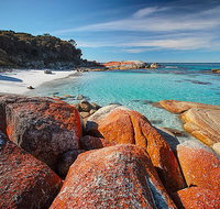 Homelea Accommodation - Your Accommodation