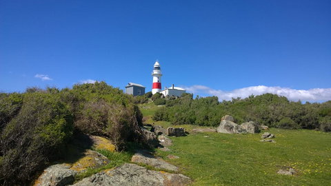 BIG4 Low Head Tourist Park - Your Accommodation 6