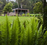 Tyenna River Cottage - Your Accommodation