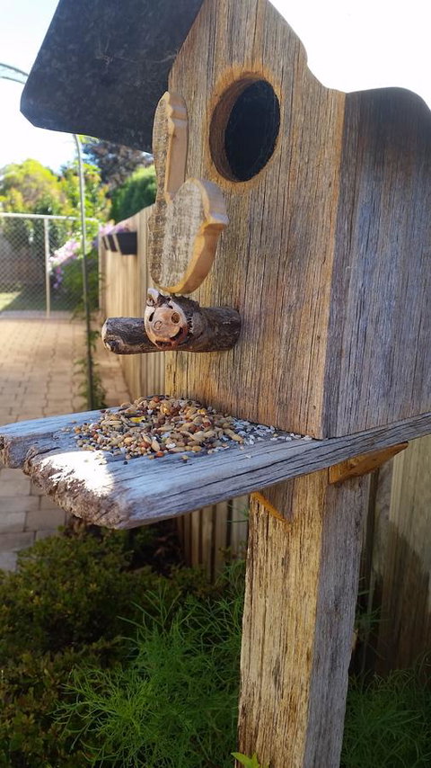 Driftwood-Cottage - Your Accommodation 29