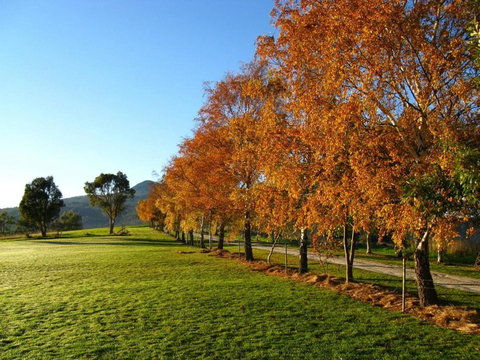 Plovers Ridge Country Retreat - Your Accommodation 8