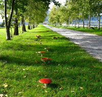 Plovers Ridge Country Retreat - Your Accommodation