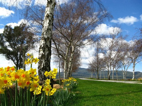 Plovers Ridge Country Retreat - Your Accommodation 4