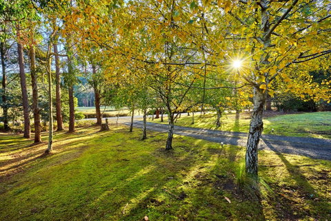 Oyster Cove Chalet - Your Accommodation 1