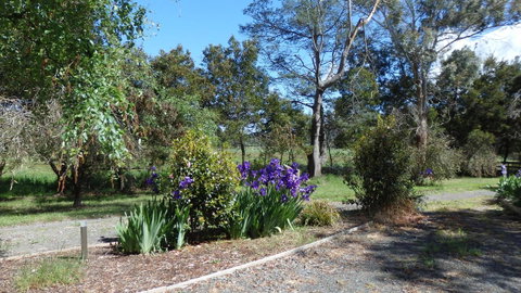 Karoola Cottage Self Contained - Your Accommodation 19