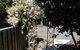 Karoola Cottage Self Contained - thumb 20