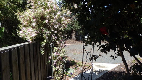 Karoola Cottage Self Contained - Your Accommodation 20