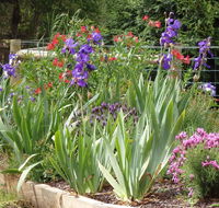 Karoola Cottage Self Contained - Your Accommodation
