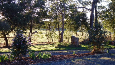 Karoola Cottage Self Contained - Your Accommodation 25