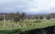 Karoola Cottage Self Contained - thumb 11