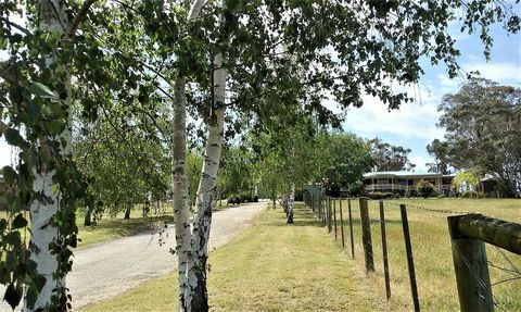 Nicholson BnB And Arts Centre - Your Accommodation 0