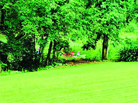 Paradise Eco B & B - Your Accommodation 1