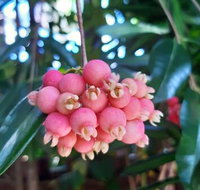 Paradise Travellers Rest - Your Accommodation