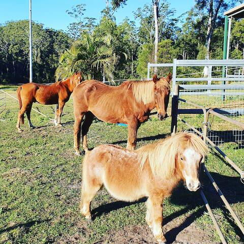 Paskins Farm - Your Accommodation 0