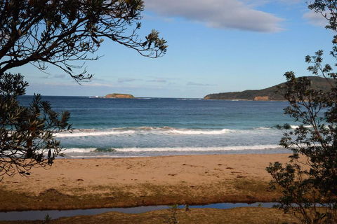 Pebbly Beach Shacks - Your Accommodation 0