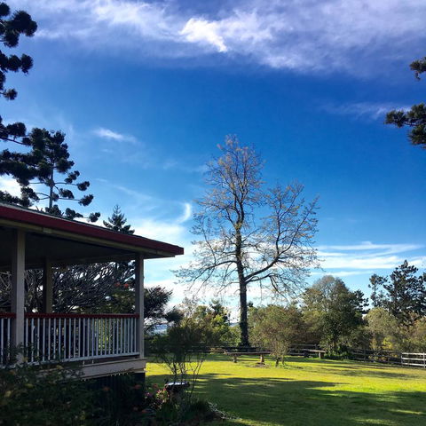 Pechey Homestead - Your Accommodation 3