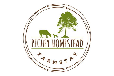 Pechey Homestead - Your Accommodation 1