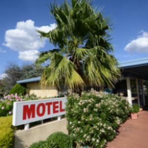 Plainsman Motel - Your Accommodation 3