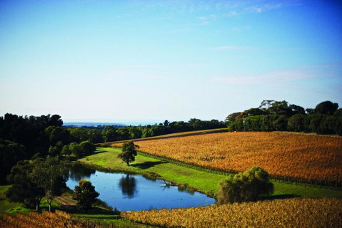 Port Phillip Estate - Your Accommodation 2