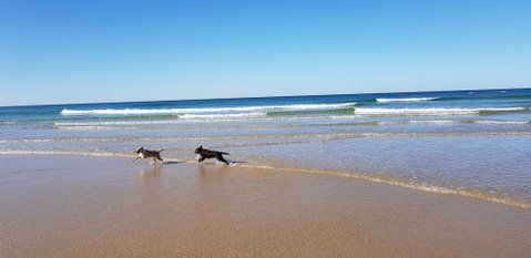 Red Door Beach House - Marcoola Beach - PET FRIENDLY, FOXTEL, WIFI, 500 BOND, Linen Supplied - Your Accommodation 1