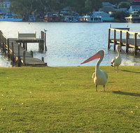 Riverfront Getaway - Mannum - Your Accommodation