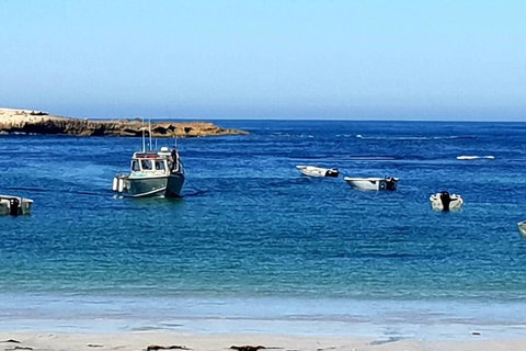 Rocks Retreat Cabin 3 - Lobster - Your Accommodation 2