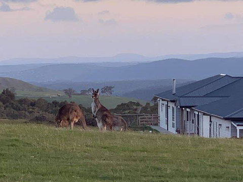 Rooks Edge - Your Accommodation 0
