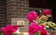 Rose Cottage - Charming Double Brick - Near Cook Park & CBD - thumb 0