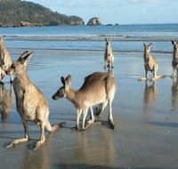 Seaforth Holiday Units - Your Accommodation