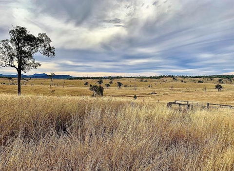 Skyline Farm House - Your Accommodation 3