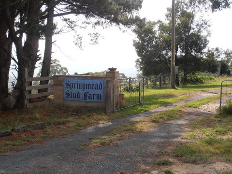 Springmead B&B - Your Accommodation 2