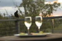 Book Forest Hill Accommodation Vacations Your Accommodation Your Accommodation
