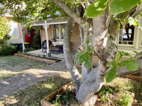 SUMMER HOUSE - CENTRAL LOCATION Near PARK - Your Accommodation 0