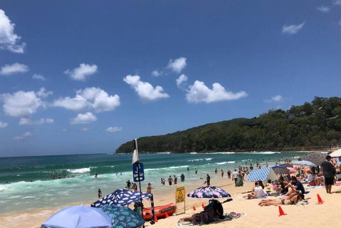 Sunshine Coast Cottage - Your Accommodation 3