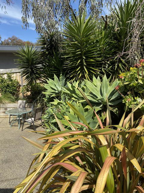 Surf Coast Haven - Your Accommodation 3