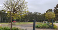 Book Lebrina Accommodation Vacations Your Accommodation Your Accommodation