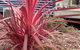 Captain Cook Holiday Park - thumb 15