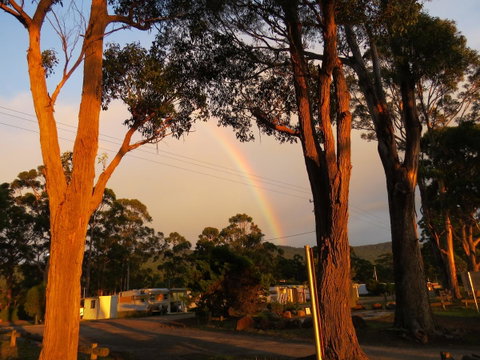 Captain Cook Holiday Park - Your Accommodation 12