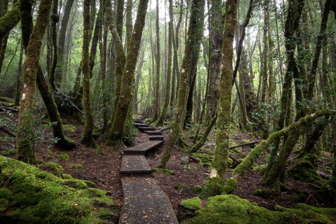 Peppers Cradle Mountain Lodge - Your Accommodation 25