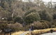 Peppers Cradle Mountain Lodge - thumb 22