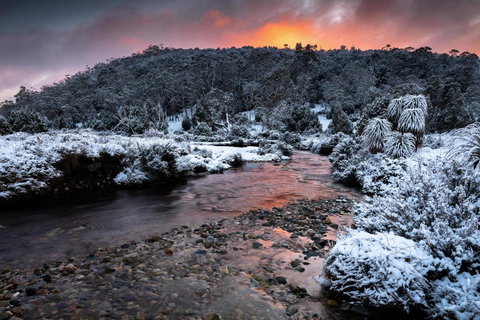 Peppers Cradle Mountain Lodge - Your Accommodation 44