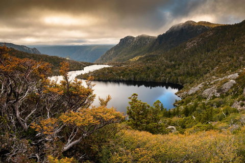 Peppers Cradle Mountain Lodge - Your Accommodation 38