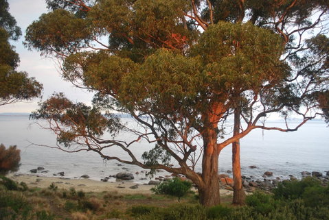 Beachside Taroona With Spa - Your Accommodation 18