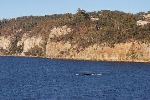 Beachside Taroona With Spa - Your Accommodation 29