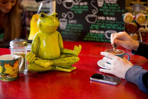 The Pickled Frog - Your Accommodation 30