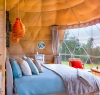 Domescapes in the Vines - Your Accommodation
