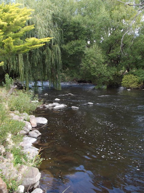Blue Wren Riverside Cottage - Your Accommodation 7