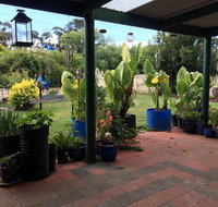 Blue Wren Bungalow - Your Accommodation