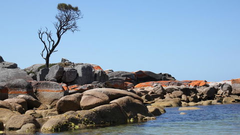 BAY OF FIRES SEACHANGE Ocean Frontage - Your Accommodation 21
